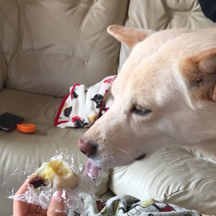 1e2b2711 ee3a 4e5a b50d b547340a1700 1516856149037