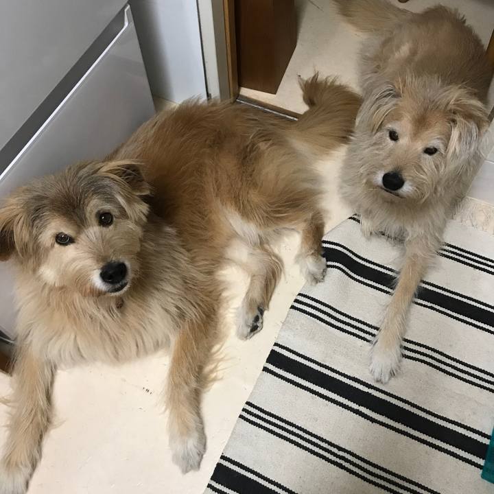 1e2b64a6 ffa1 47aa 8b44 cd0ff3e2203f 1545887355854