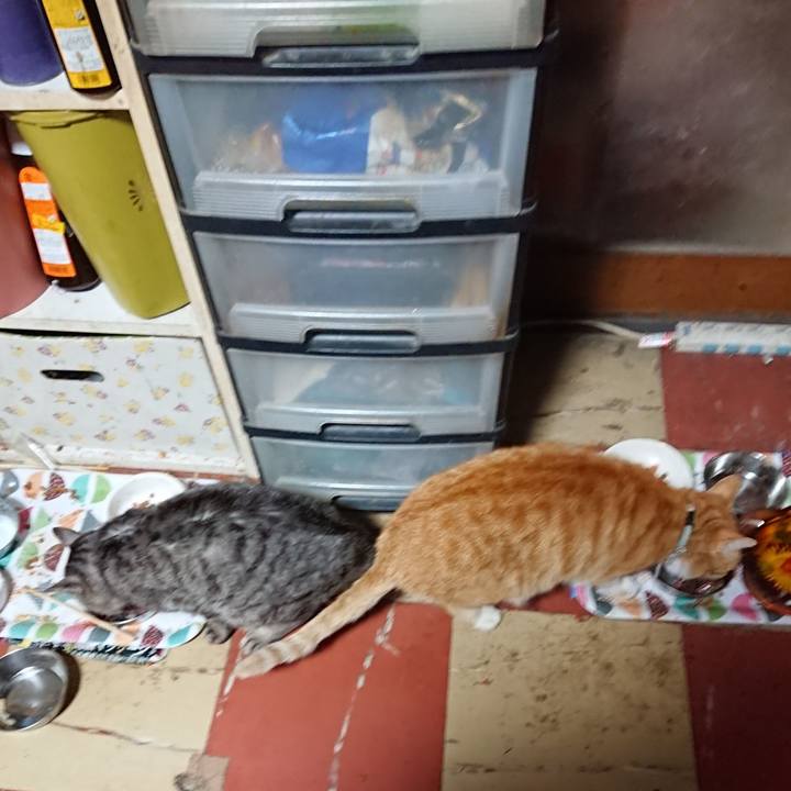 1e2b6576 82c5 45ad a346 8228db294db7 1589956552705