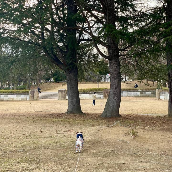 1e2b7264 c965 4191 beac 41aca4921ee0 1738310024531