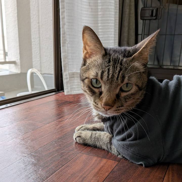 1e2b8165 9cf0 4d77 8e01 fdf7c5e8d39e 1758238045045