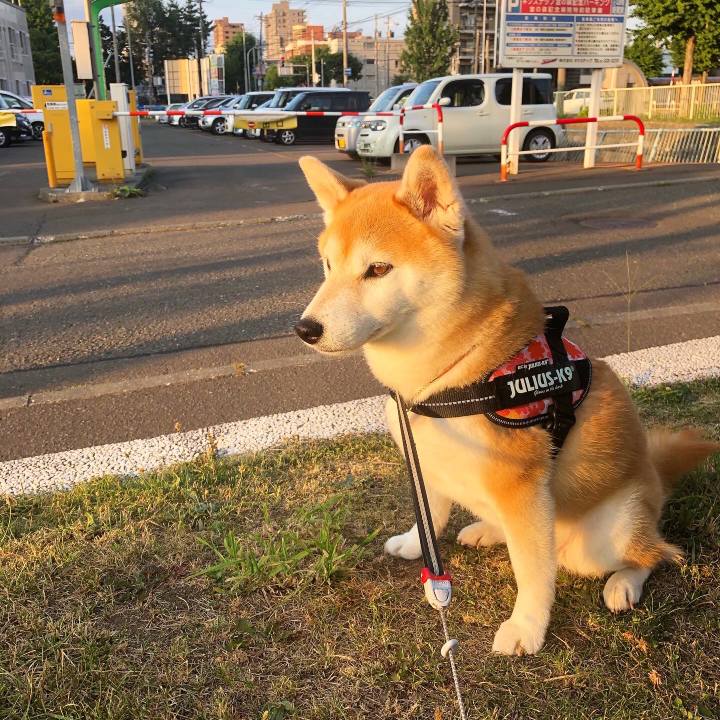 1e2bac18 5bb1 4e41 8058 6a798f202288 1596103759224