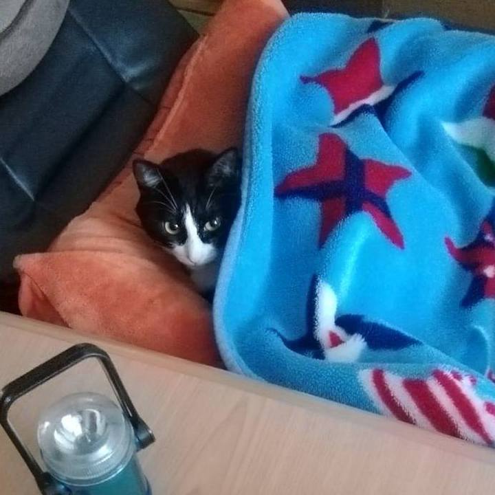 1e2bbb20 6adb 43cd 9767 86e117fbdc14 1572147490122