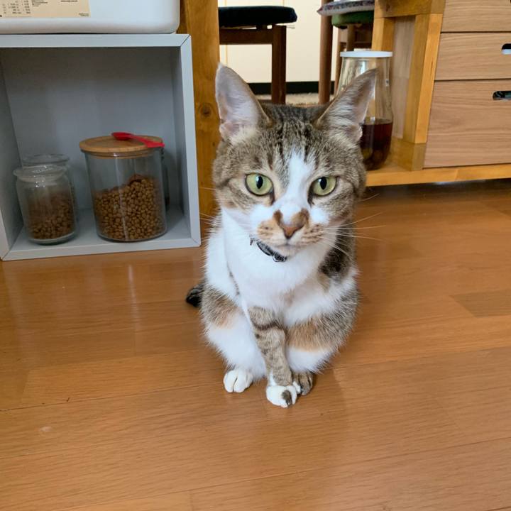 1e2beb4c 16cb 4b04 abdc 7d429f3afc84 1597209616766