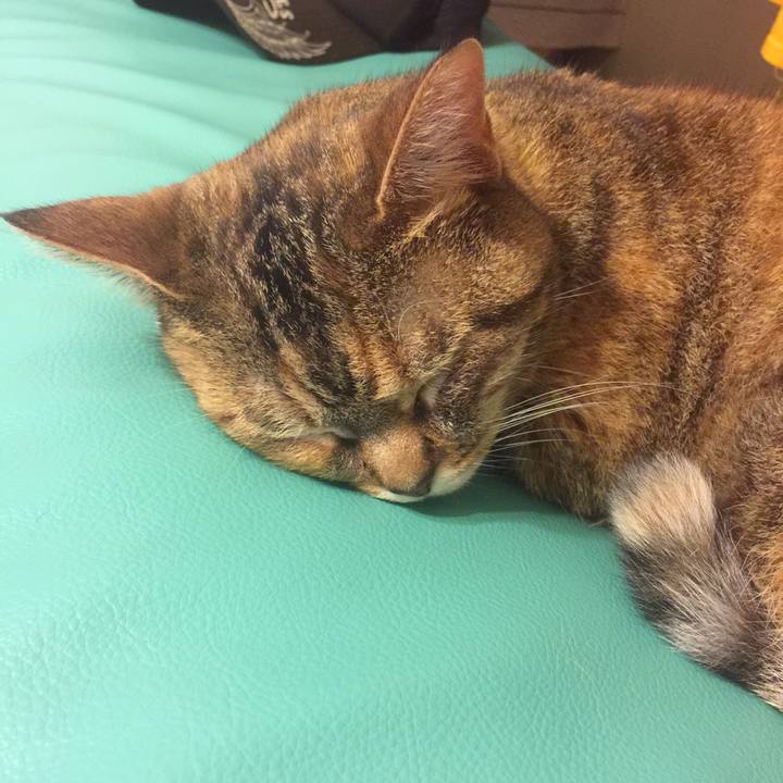 1e2c056d 9099 4a30 b0f2 8cbd35b0a61f 1558450859240