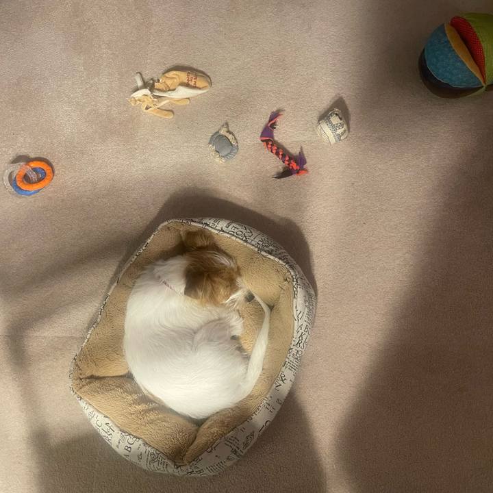 1e2c0580 2872 468b 8e8b d6a2e432de7f 1760188117509