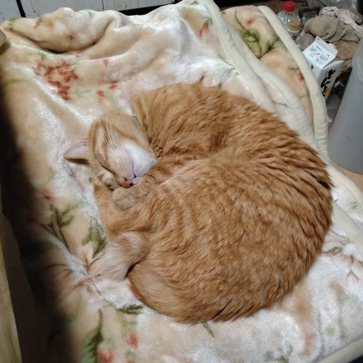 1e2c06a3 da3d 4429 aabe 1880f918216d 1761350627774