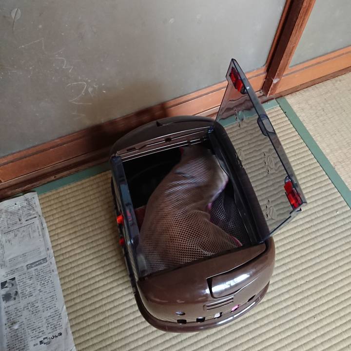 1e2c0b1e ab9a 48a6 9c8f 96ed0e2c709a 1588468290468