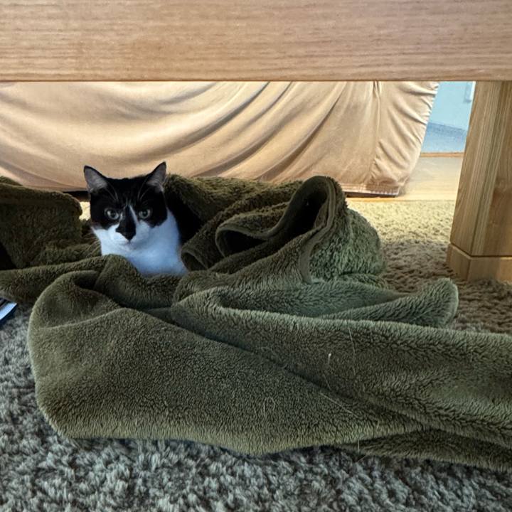 1e2c1f05 f97c 4842 8a2d 52f6c445c539 1761100089009