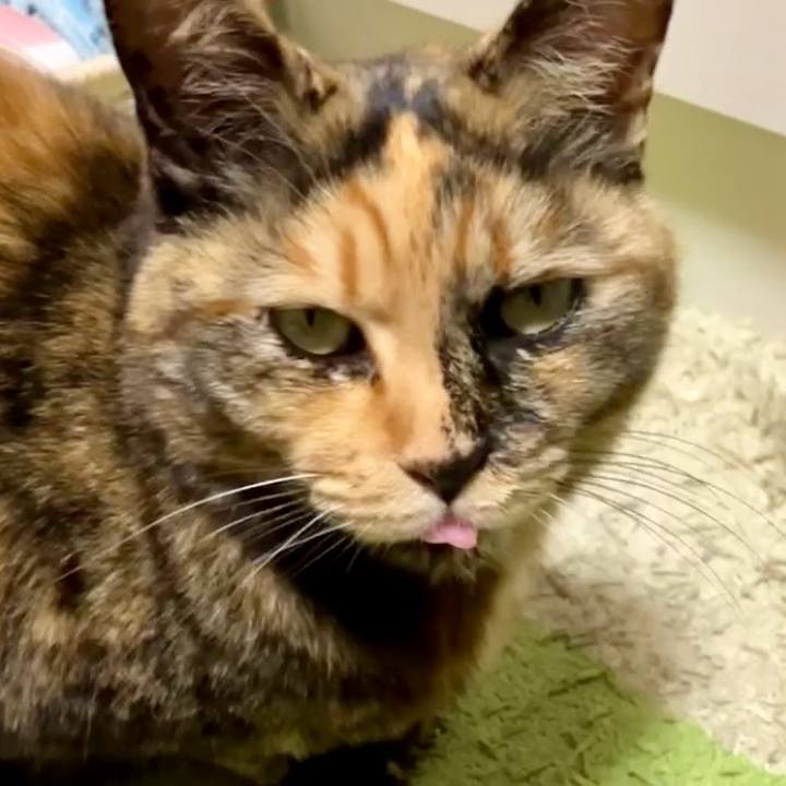 1e2c5945 487b 4d87 8301 cd5569a4ac6d 1739706545830