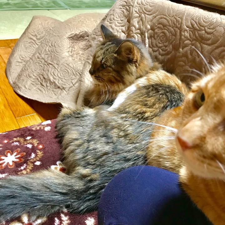 1e2c9663 c963 4740 ac90 bc166b7e19a3 1516796338406