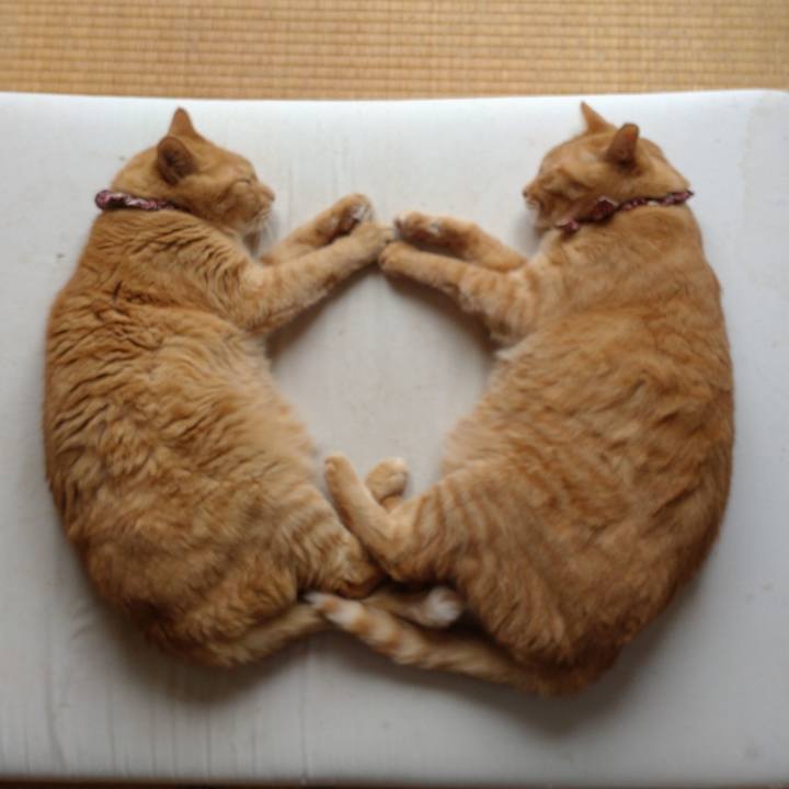 1e2cc436 b032 493c aff4 5526f4d22b34 1629885327967