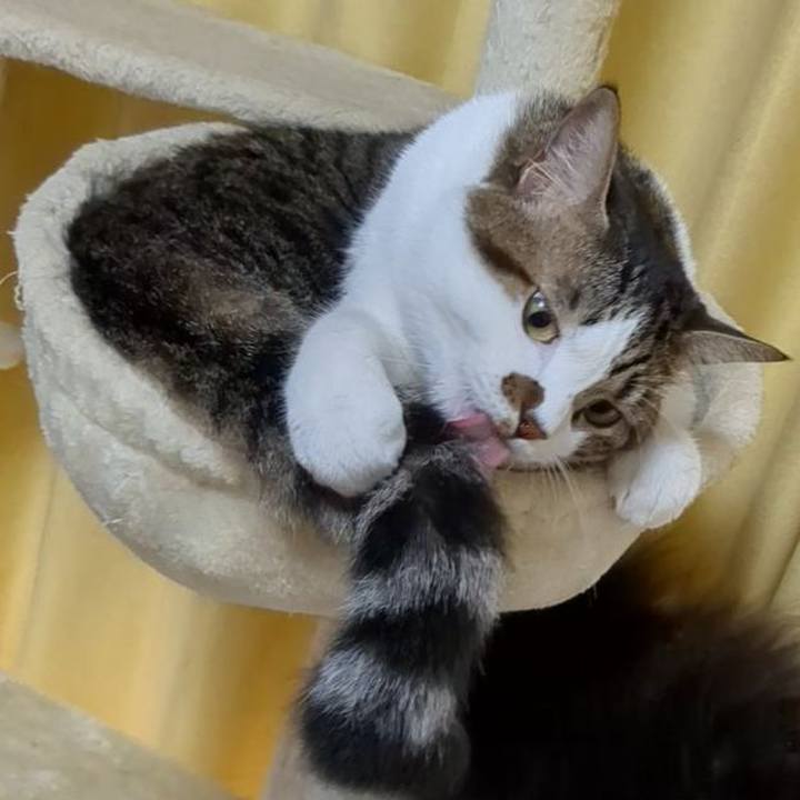 1e2cda26 968b 4c10 accc f26d4ac7336a 1696302566218