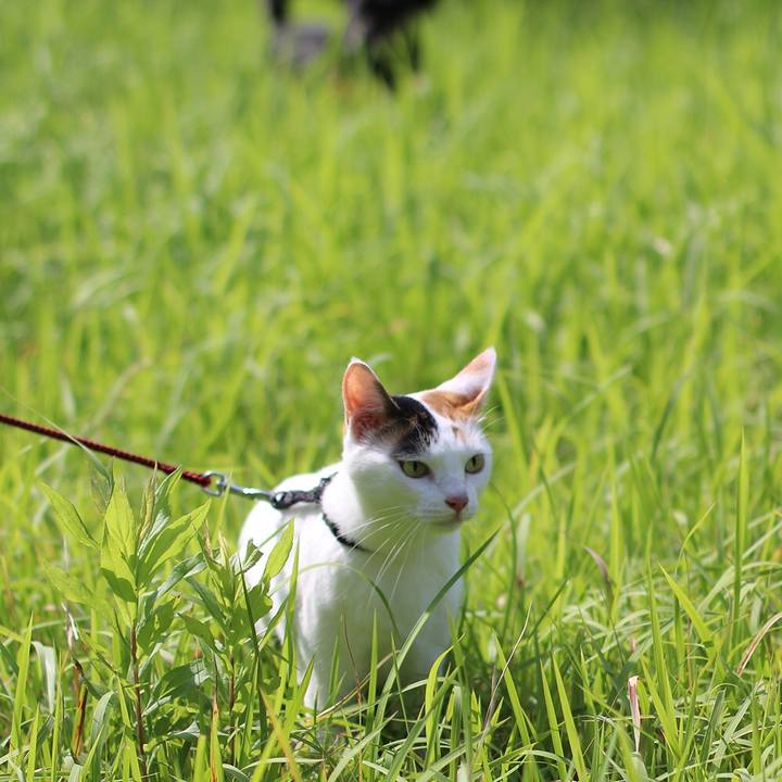 1e2cf8f7 949f 4319 ae27 f97d83d32b1c 1597358466222