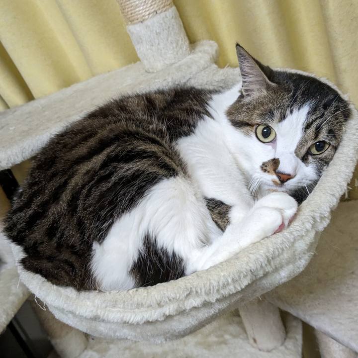 1e2cf9ba 5855 4b12 8c62 72eb43f612fa 1713014439865