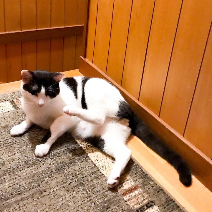 1e2d056f 9bfe 4ab2 acf7 e2ea679da54c 1532960759995