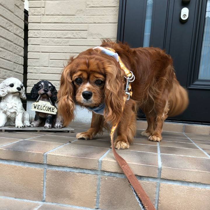 1e2d3020 5b0d 4341 a974 cadb56445610 1625357322339