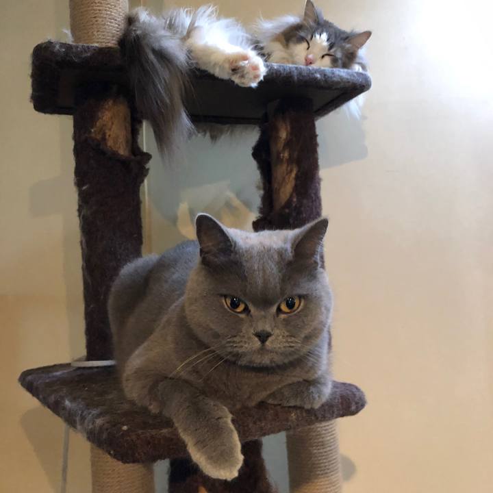 1e2d707b ece6 4f8f a066 a619e688beba 1550841412151