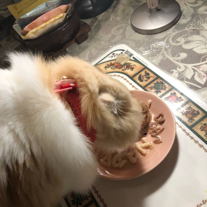 1e2d7914 ba9a 4913 aad4 454d70b3c1ea 1655283570447