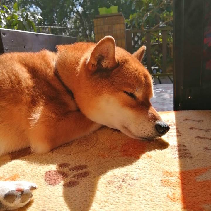 1e2d98e5 3ebf 4992 b89b ac9f6633294f 1582513768629