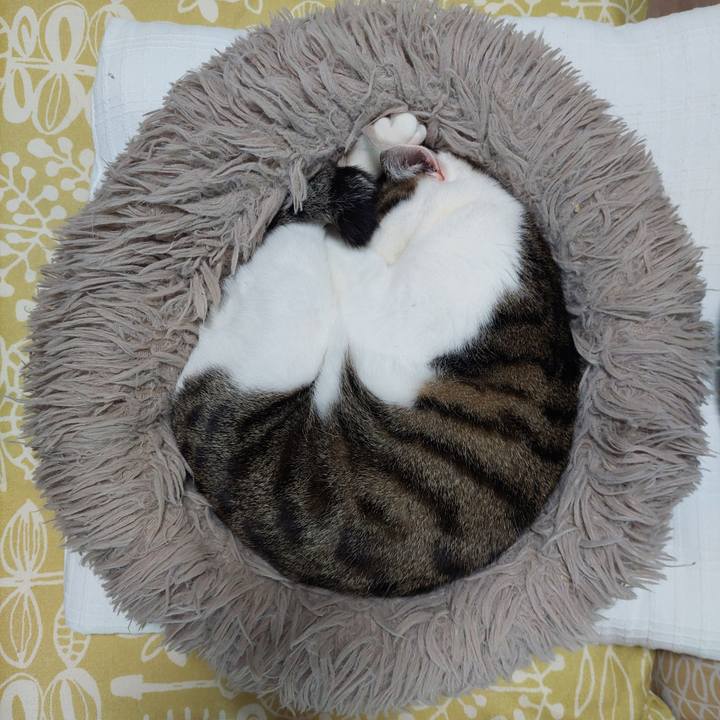 1e2daf8c 5c27 48fc bc78 6ed66eda6e9f 1746049553814