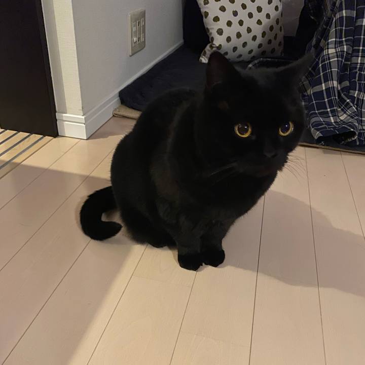 1e2de896 0482 40da b373 c0c4ec37442e 1711452145692