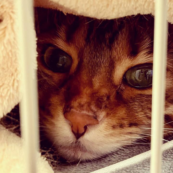 1e2dffad 4c9d 4676 a795 6745f4c07f47 1644879570243