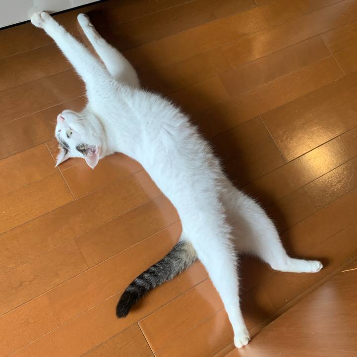 1e2e0b16 2fd8 4674 bc7b 84aa7f0ae634 1658107713932