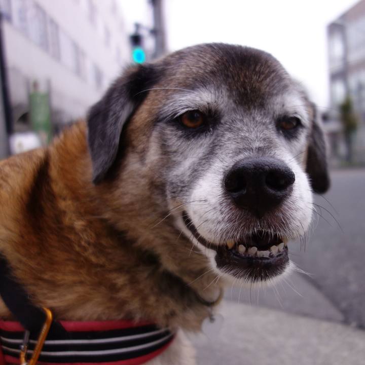 1e2e3795 1152 48e8 b67b 796ce2438ef2 1569030414601