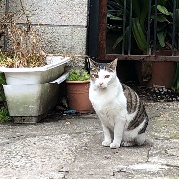 1e2e4fae 11c5 4381 886a 4e9596a2ad09 1517633507571