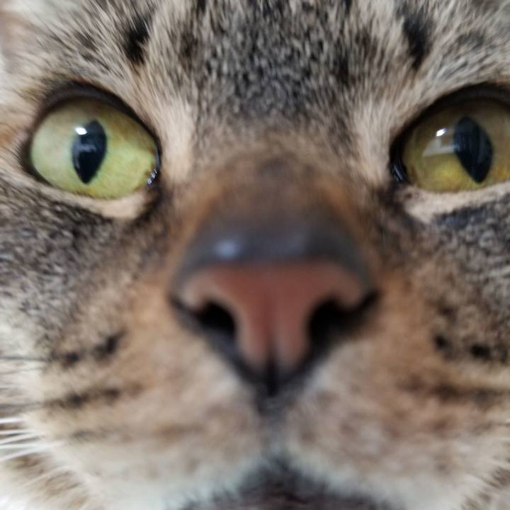 1e2e9726 7f9c 4508 97b4 ad56156a8af5 1599355983319