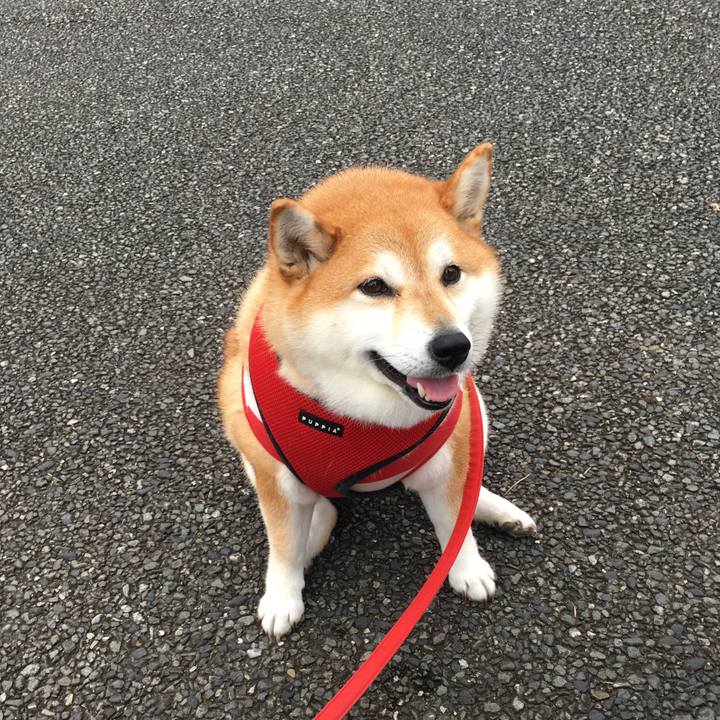 1e2eb348 361d 40e2 bd42 9e4162a833f3 1594889875216