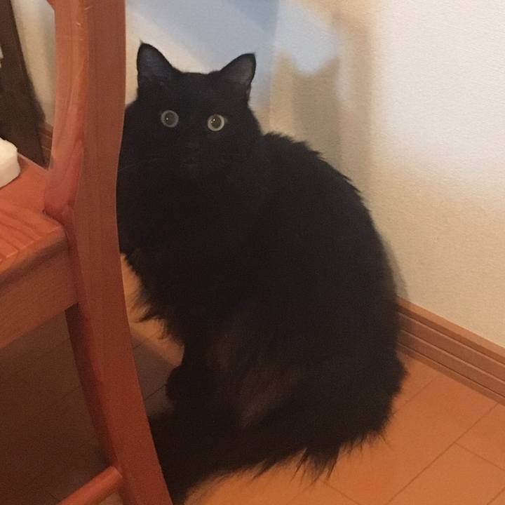 1e2eba02 bd19 42e9 b10c 208769910218 1509754721733