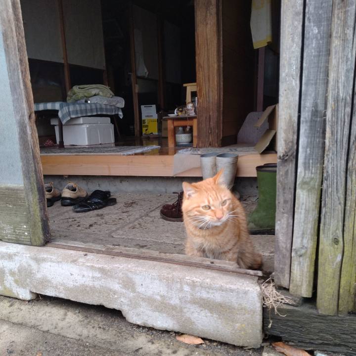 1e2ebf14 6a84 4040 9d9e 3a26e58938df 1670481895250