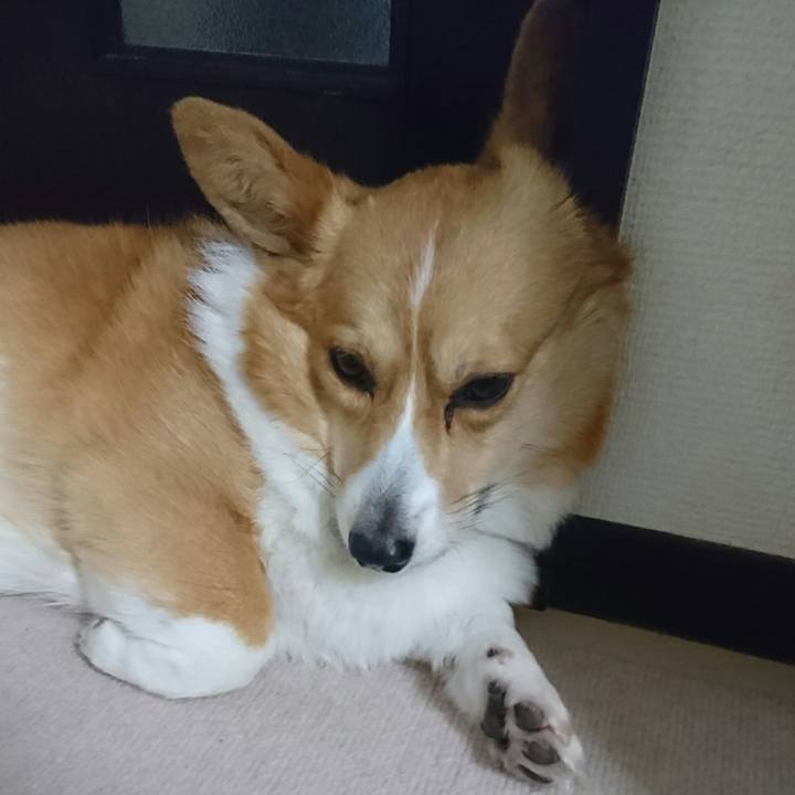 1e2ed8c5 5cae 479d a533 908c49e975ed 1525752518270