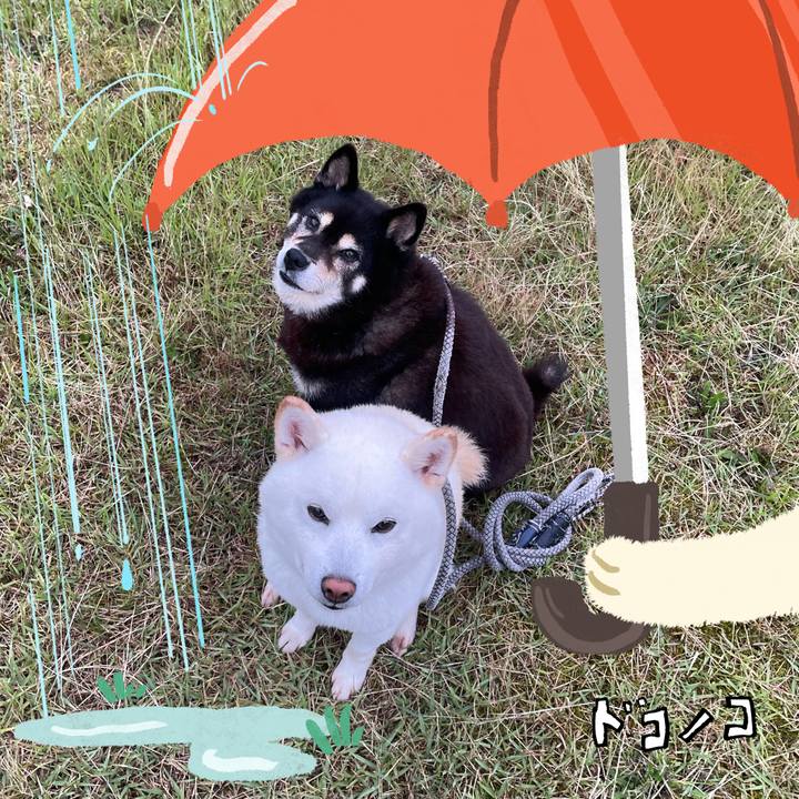 1e2eeec1 da24 4fcb 8214 b9d92d39573d 1749154998004