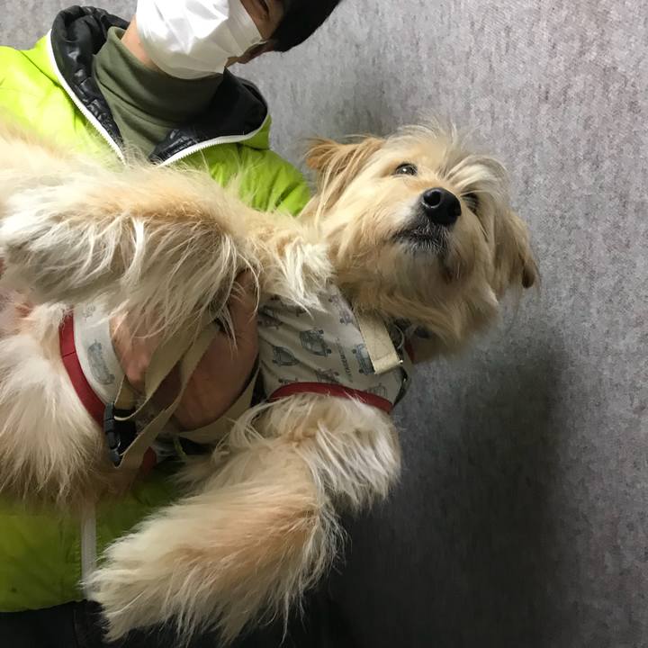 1e2ef6b4 42c9 407b b6d6 65bd3e3a71d2 1529993383658