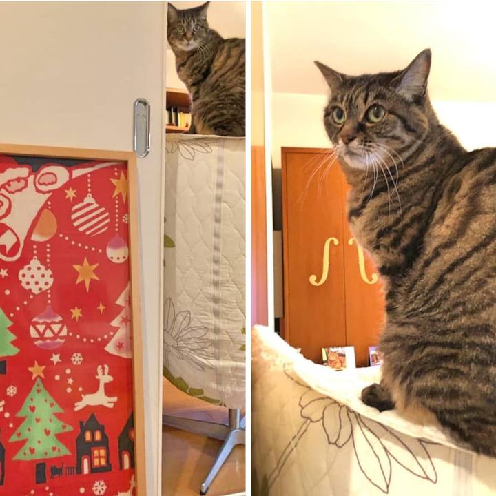 1e2efb15 1ce4 4061 8fb4 6aa2048cd6dc 1765547897065