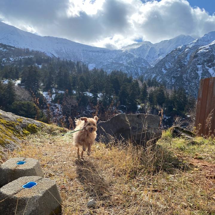 1e2f2ffd ee49 4360 97dd 8799d210e8a1 1636171753512