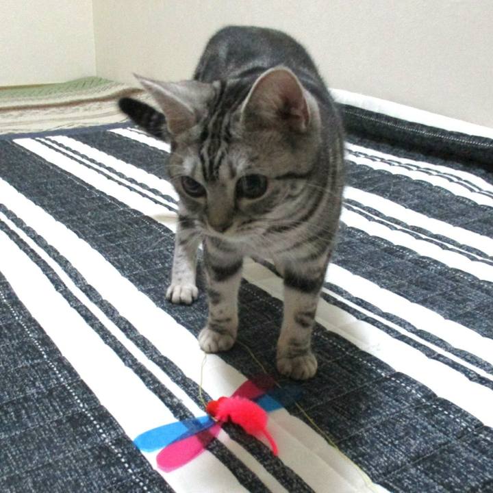 1e2f3b70 e0c5 4696 a4e3 91ccf5bb40f2 1548413870004