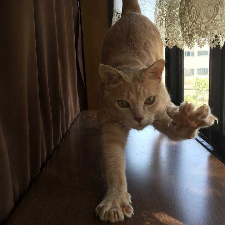 1e2f3c7c fd01 4b7f 9327 e1afe8e4f97b 1555996676998