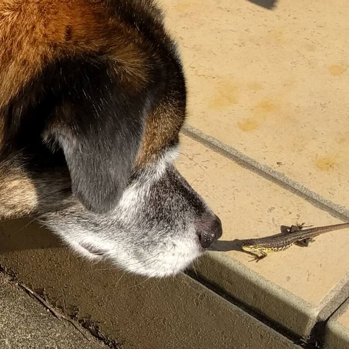 1e2f5ecd 1b5d 4561 befe 3df8fddcb41b 1533080026776