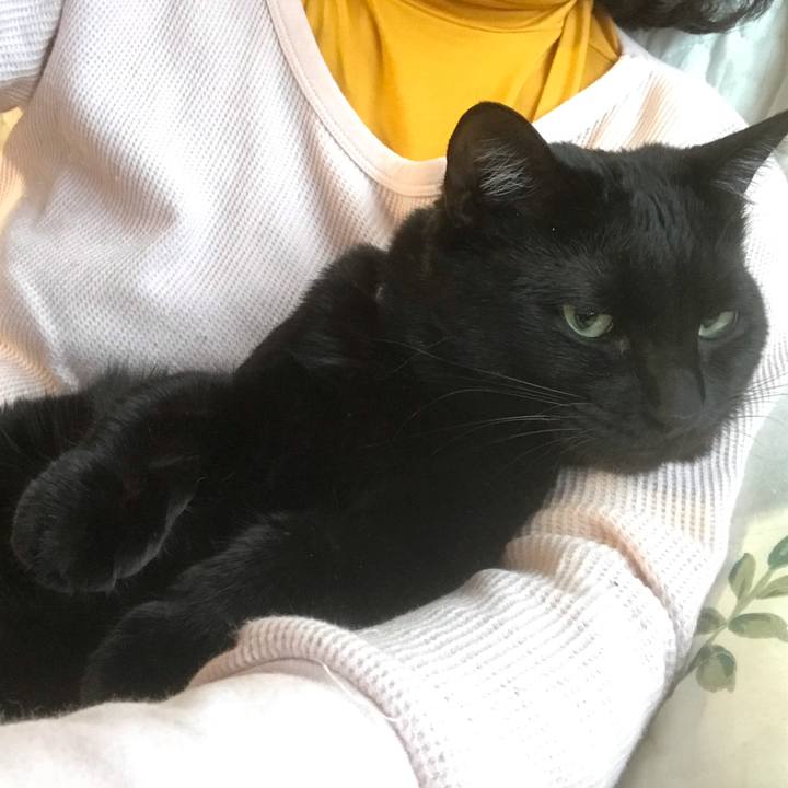 1e2f635d 4dee 472c 9057 f81db4e8aa55 1609368612353