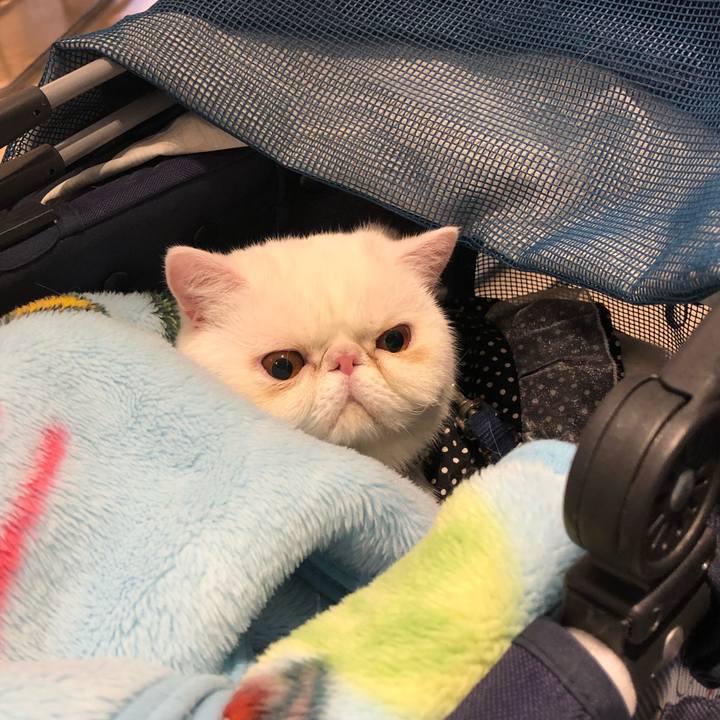 1e2f9041 c4ec 4d9d b562 00e4979cd5d3 1577701617488