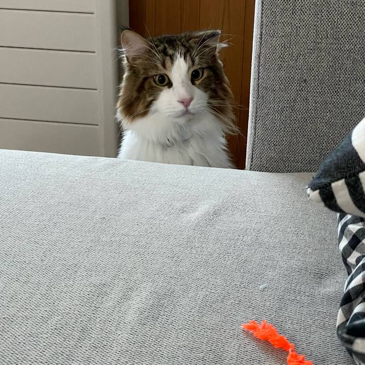 1e2f9134 9228 4fb0 9caa fb3d9d4d9220 1660598095376