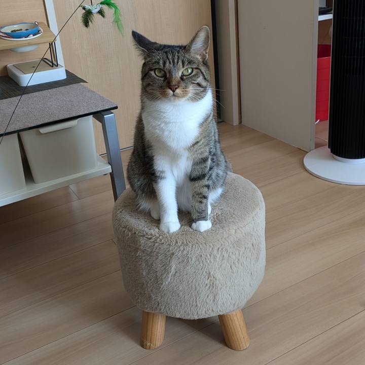 1e301698 5c22 46e1 92ee ed619847908b 1725440443550