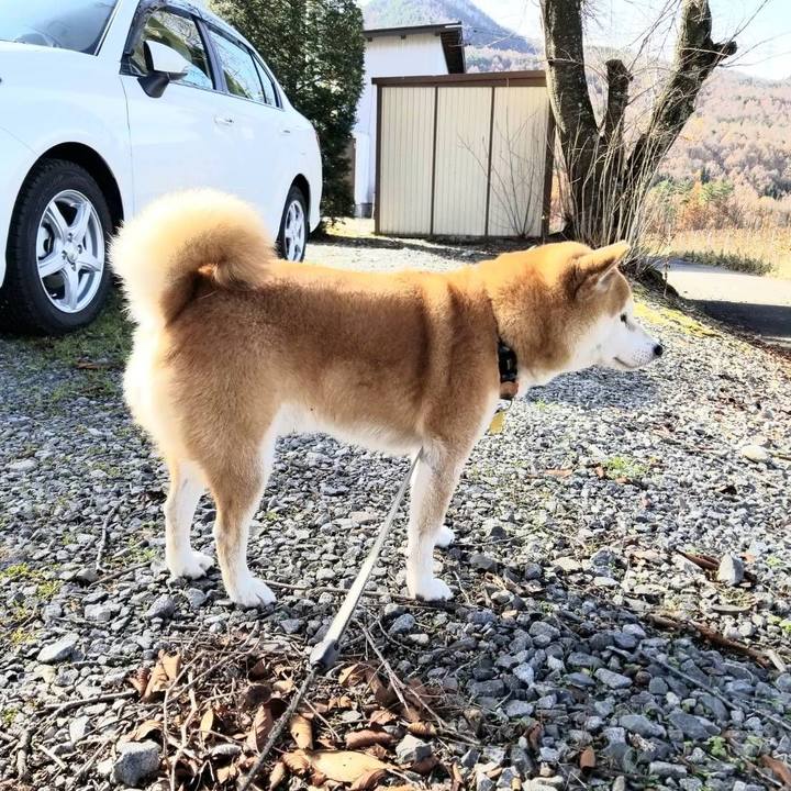 1e301a39 f643 429b aab7 aac73d809b23 1574560998359