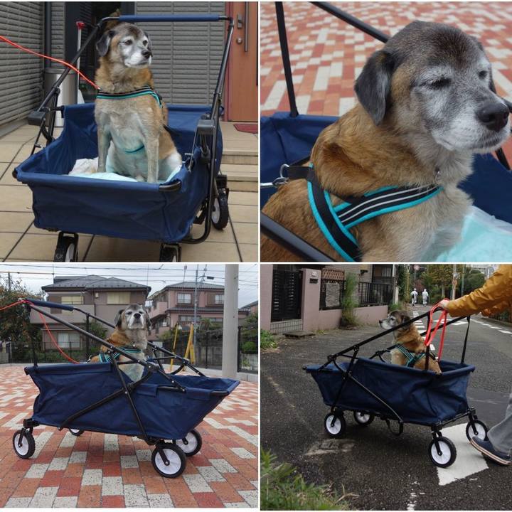 1e303061 83d5 453d af5c 1abf2de87fda 1573632727389