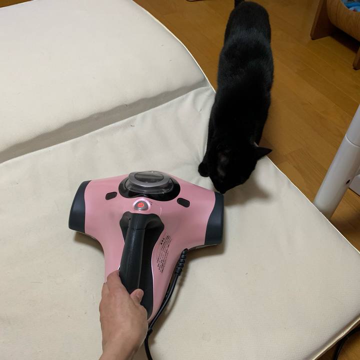 1e303772 3070 4b0a 9880 2bd1ca5e4ce3 1634211324145