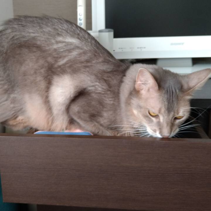 1e303bf7 7bae 4618 a7c6 8cc22ab904fe 1611552839317